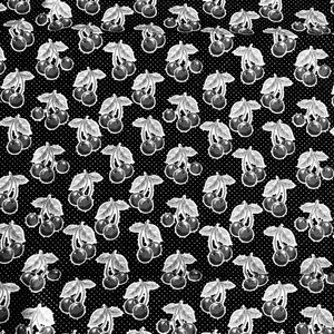 Meet your Posher, Roberta